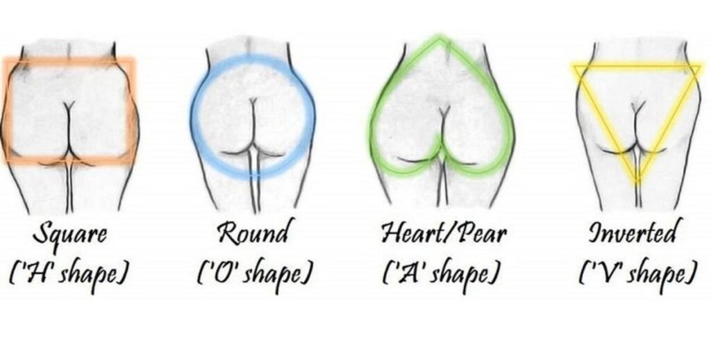 ass shapes